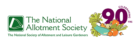 NAS logo